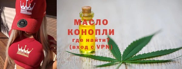 твердый Инта