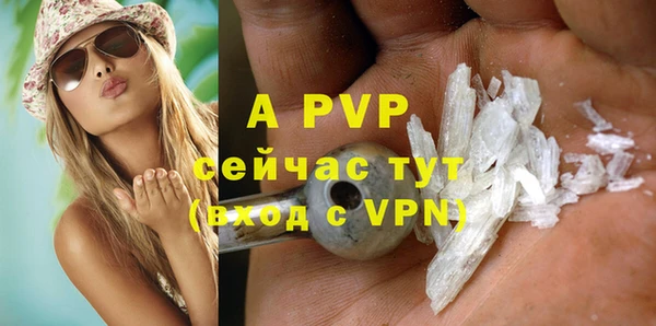 твердый Инта