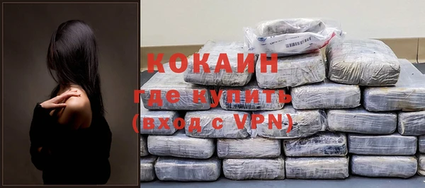 твердый Инта