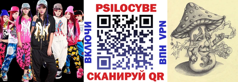 Псилоцибиновые грибы Psilocybe  купить наркотики сайты  Димитровград 