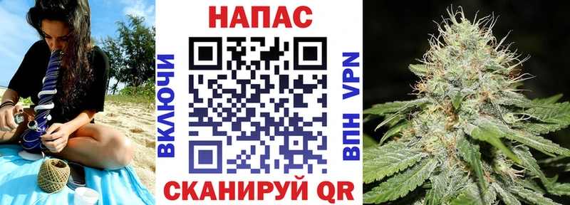 kraken tor  Димитровград  Шишки марихуана семена 